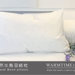枕頭 / 天然水鳥羽絨枕 100%純棉 台灣製造 (超取限一顆)