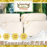 枕頭/泰國天然乳膠枕-4款 Sawasdee原產品牌(2顆以上請選宅配)